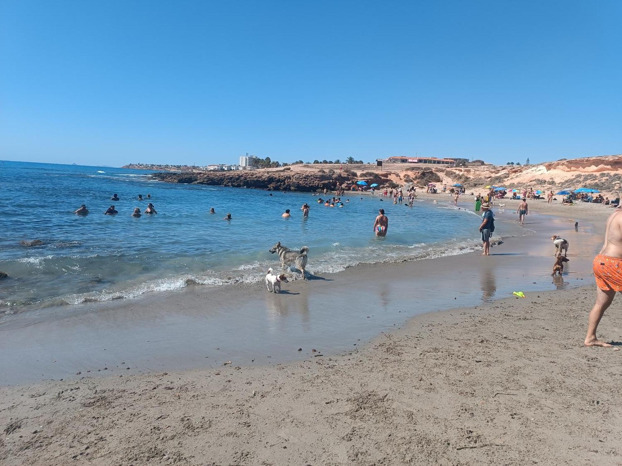 La Campana Appartement Dehesa de Campoamor  Buitenkant foto